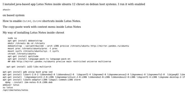 How to enable shortcuts (copy-paste) inside chrooted java app? смотреть онлайн