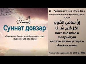 28- хьадис || «Сахьих аль-джамиI ас-сагIир»