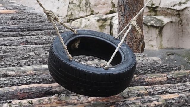 "Поколение М" и Московский зоопарк. Что такое зоопарк? смотреть онлайн