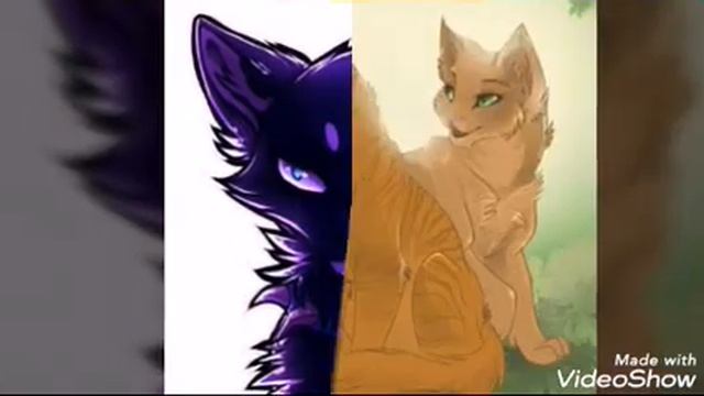 Коты воители КлИп Ч. О.?? смотреть онлайн