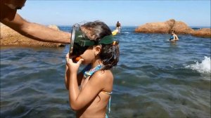 ОДЕССА . Начало Лета : Как приготовить МИДИИ / BEACH TIME : How to cook MUSSELS ?!