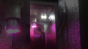 Гроубокс своими руками