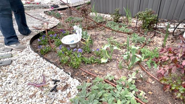 Installing Drip Irrigation to the Front Beds (Replacing Soaker Hoses)(Zone 8b) смотреть онлайн