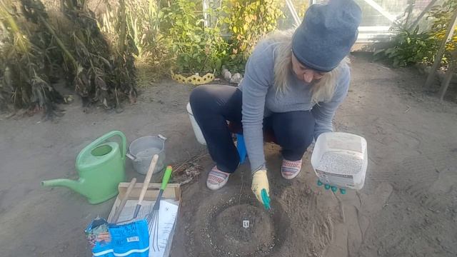 Подготовка клематисов к зиме . Часть 1 . Clematis . смотреть онлайн