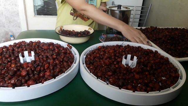Делаем домашний сироп из шиповника