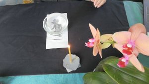 ЧИСТИМ ОПОИ И ОКОРМЫ.ОТЛИВКА ВОСКОМ.