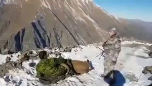 В горах Чечни поймали живьем горного барана