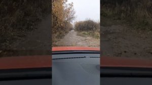 Владимирская обл.г.Александров ,дорога в СНТ Искож-6 осенью 2023 год, Часть 1