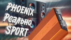 ЖУТКИЙ секрет усилителя DL Audio Phoenix Sport 2.1200 | ГРОМКИЙ ТЫЛ #автозвук #жухлыйвиноград