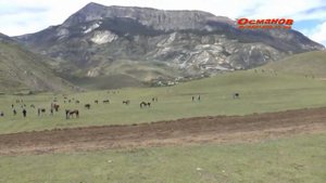 Конные скачки в с. Ансалта, 2016 г.