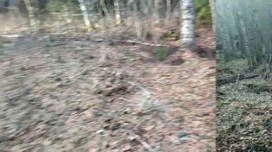 Коп на заброшенном в лесу финском хуторе.