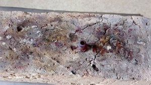 ? Невероятная простая бусина из меди. Часть 2