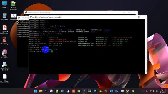 Apex with apache-tomcat and ords. #DBA_Cave #bari.ekramul #Oracle_lover смотреть онлайн