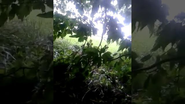 Подствольный гранатомет