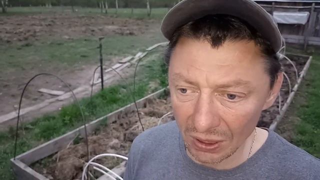 Второй выкидыш у первотелки((( смотреть онлайн