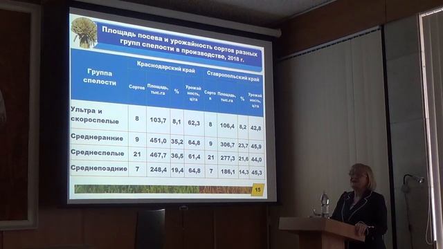 Новые продуктивные сорта озимой пшеницы краснодарской селекции