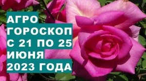 Агрогороскоп с 21 по 25 июня 2023 года. Агрогороскоп з 21 по 25 червня 2023 року