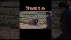 Истинная красота