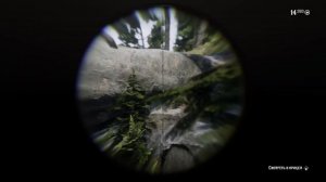 Где найти Орла в Red Dead Redemption 2.