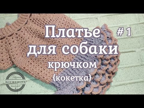 Как связать Платье для собаки крючком. Часть 1 - Кокетка