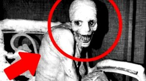 Топ 15 существ снятых на камеру