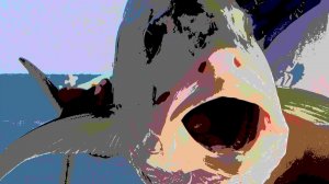 РЫБАЛКА. СТРАНЫ МИРА. ОМАН. ВИДЕО. УДАЧНАЯ РЫБАЛКА.