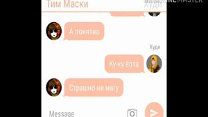 Переписка худи,мая, Тим маски.