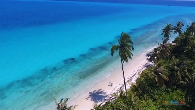 Свадьба на Мальдивах Maldives Wedding Sun Island