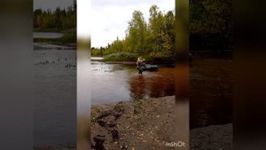 Рыбалка Губкинский, ЯНАО, река Харампур.