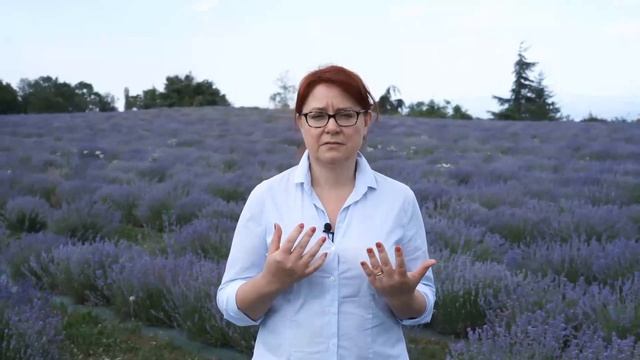 Обоняние и психосоматика: как запахи влияют на настроение. Главный механизм Аромапсихологии