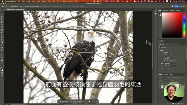 [字幕版] 完美除雜訊/雜物 - Photoshop 24.5 Beta #廣東話 #photoshop #photoshop24.5 #Adobe #去除雜訊 смотреть онлайн