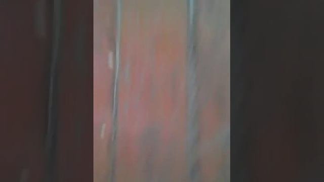 Как убирать какашки