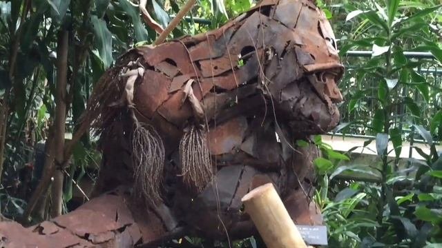 Великобритания. Идём смотреть на тропические растения и животных! Тропический лес в сердце города!