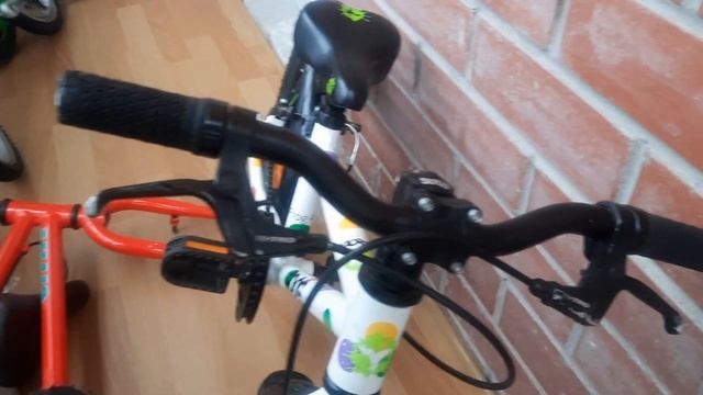 Frog 48 White/Spots смотреть онлайн