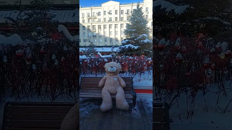 Медведи на Тверской