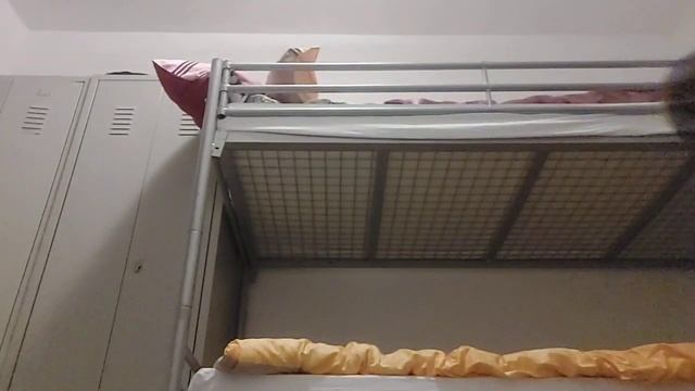 Завтра будет зарубок то больше Сделать отжиманий Ждите смотреть онлайн