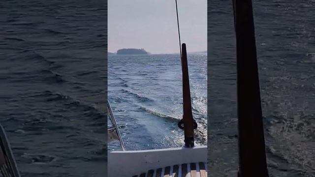 Sailing in the Gulf of Bothnia (Baltic Sea), Luvia.