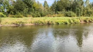 Минск. ТРИ необычных ПАРКА для прогулок и отдыха.