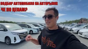 АВТОПОДБОР НА АВТОРЫНКЕ ЗЕЛЕНЫЙ УГОЛ ЦЕНЫ КОСМОС