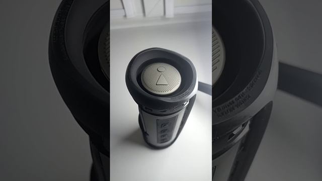 RAIKAHO - Чем он тебя нравится? Колонка JBL FLIP 5 LFM 60% Bass Test