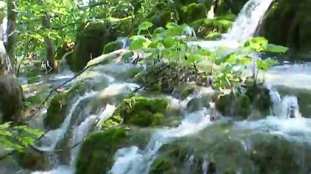 Хорватия. Плитвицкие озера смотреть онлайн