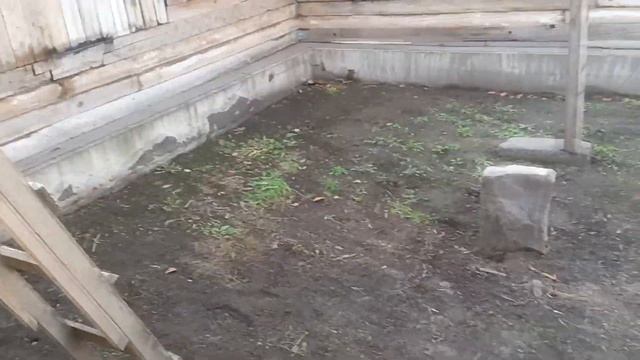 Остались без воды, и сливной ямы смотреть онлайн