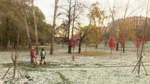 Самой холодной с начала осени стала минувшая ночь в Центральной России