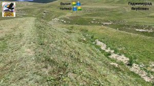 Окрестности села Гагатли.19.08.2020