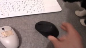 Короткий обзор беспроводной мыши logitech M280