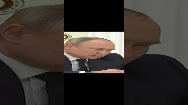 Смотреть видео онлайн