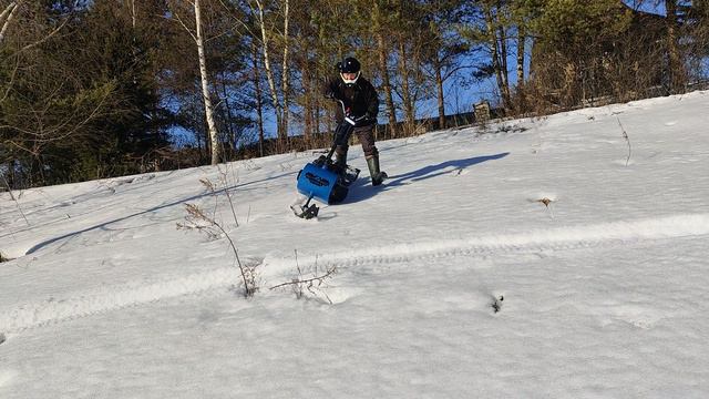 Draxter весна 2024