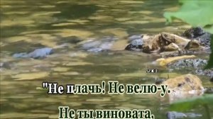 Екатерина Шаврина- Что было, то было -караоке