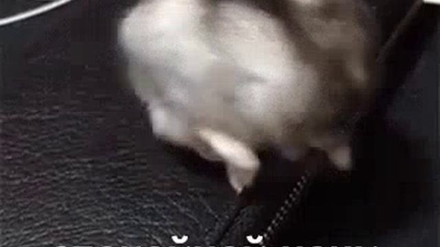 Спокойной ночи