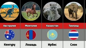 Национальные животные разных стран мира
